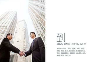 深度解析麦到营销 精准策划与品牌设计的双重驱动力